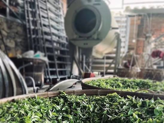 1681187147210167.jpg clip_image016.jpg