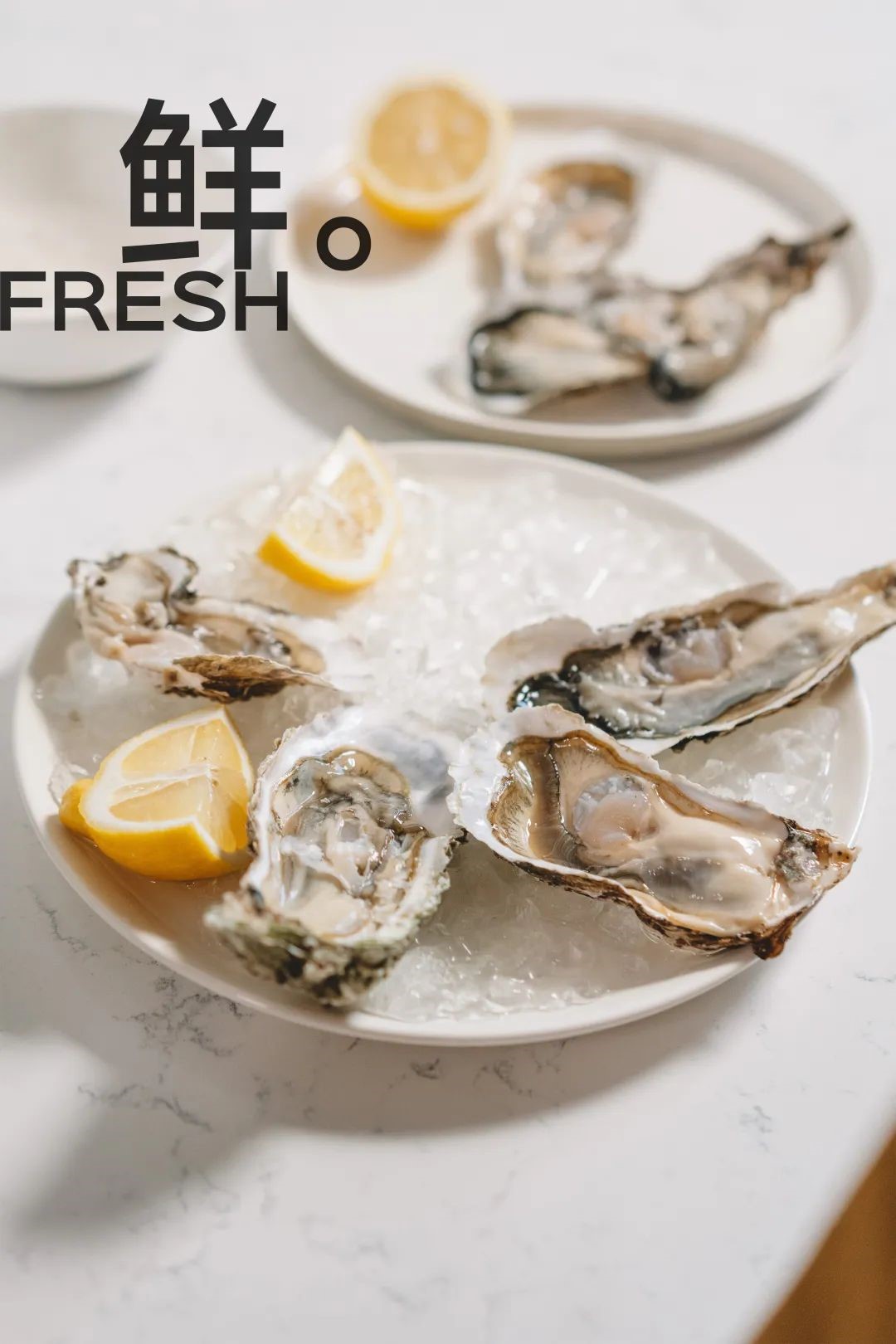 1681203239524514.jpg 大放悲聲在.jpg