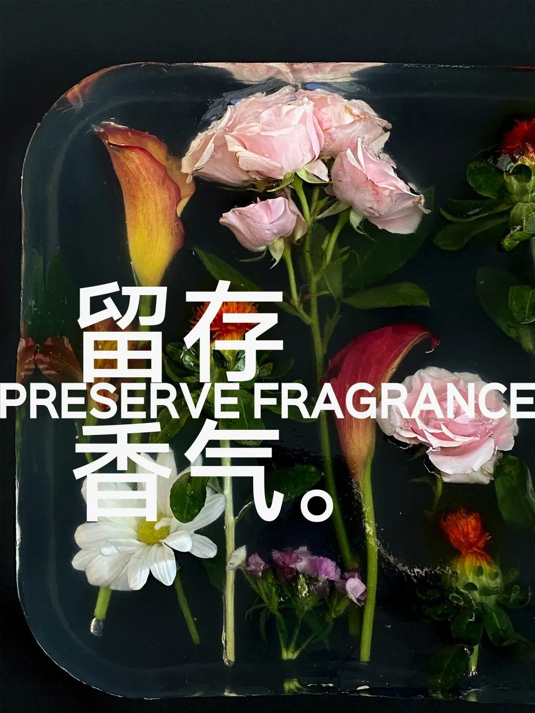 1681213103738038.jpg 1681213103738038.jpg